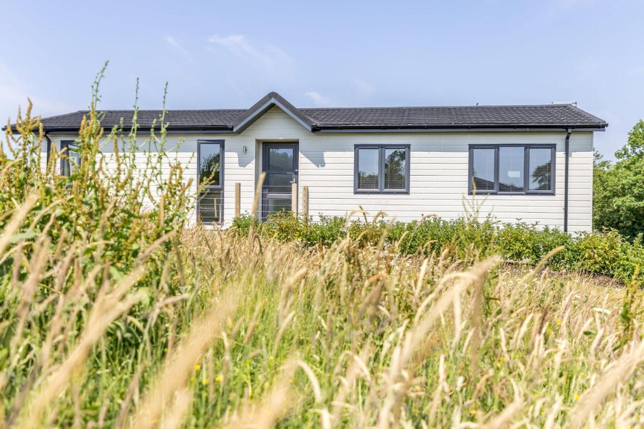 Rose Lodge, 21 Roadford Lake Lodges Lifton Extérieur photo